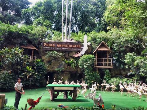 Jurong Bird Park Attractions and Shows |Monday Go Travel