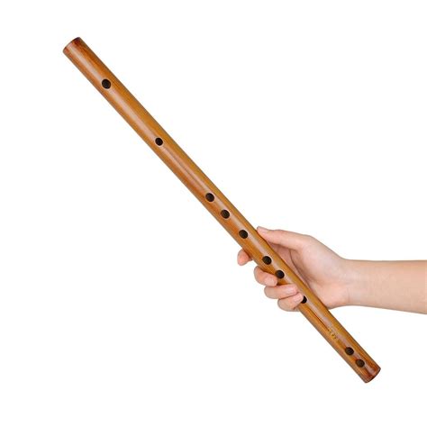 Traditional Wooden Flute Great Sound Woodwind Musical Instrument Gift Key | eBay