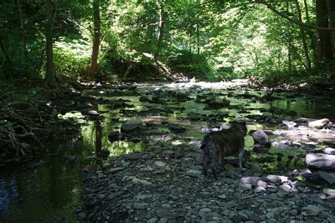 The Great (Lakes) Escape - Waterfalls and Curveballs - AdventureDawgs