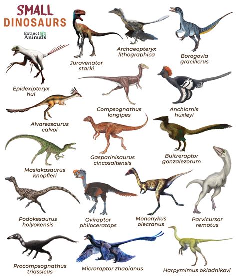 Small Dinosaurs – Facts, List, Pictures