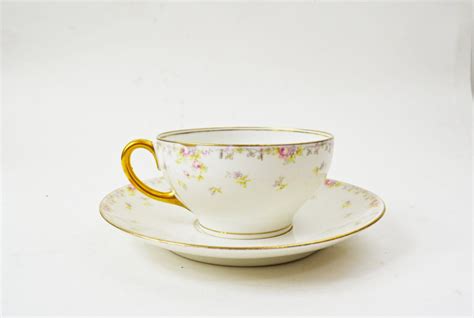 Limoges Tea Cup Set French Tea Cup and Saucer by Vintassentials