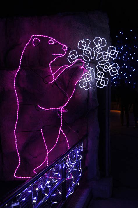 Tickets To Denver Zoo Lights On Sale Now - CBS Colorado