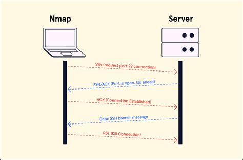 Cybersecurity | Nmap | TCP Connect Scan | Codecademy