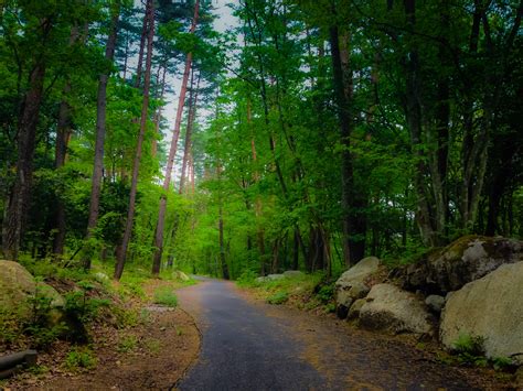 Walking Meditation - Jack Kornfield