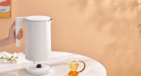 Xiaomi Electric Kettle 2