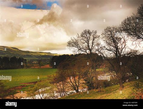 Yorkshire Dales Landscape with Trees, Yorkshire, England Stock Photo ...