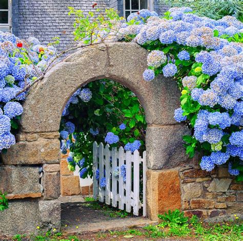 Blue & White Garden Design Ideas