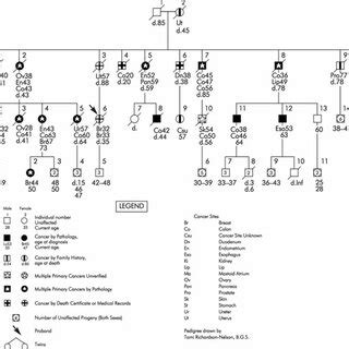 (PDF) HNPCC (Lynch Syndrome): Differential Diagnosis, Molecular ...