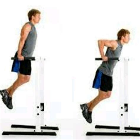 Tricep Dips Bar by Brian Dignadice - Exercise How-to - Skimble