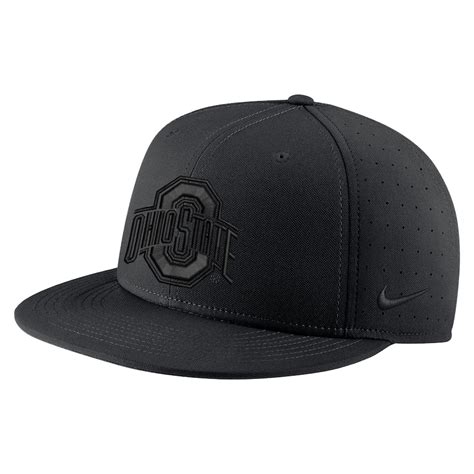 Men's Nike Ohio State Buckeyes Triple Black Performance Fitted Hat