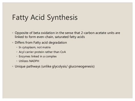 lipid biosynthesis