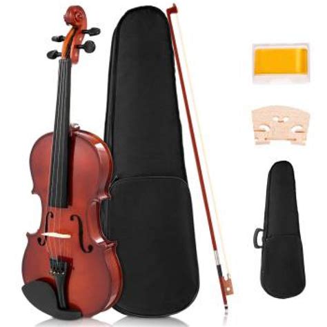 10 Best Violins for Beginners Reviewed in Detail [Jan. 2020]