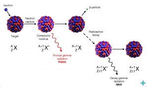 Neutron Activation Analysis - Chemical analysis - Techniques for ... - Neutron research - The ...