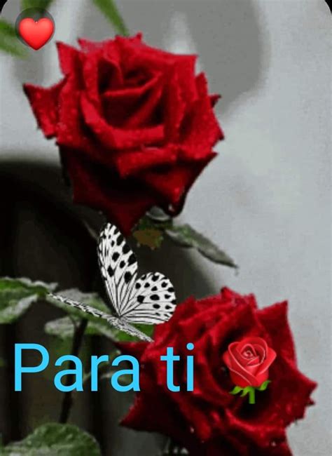 Total 74+ imagen imagenes de amor rosas con frases - Abzlocal.mx