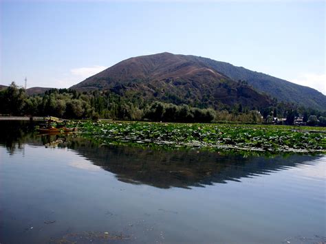 CHINAR SHADE : FOUR VIEWS OF MANASBAL LAKE OF KASHMIR AND A QUATRAIN IN KASHMIRI