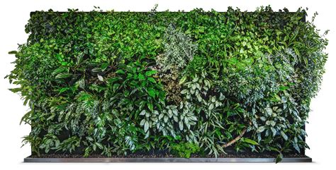 Green wall Photoshop | Grüne wände, Wandgestaltung grün, Vertikale gartenmauer