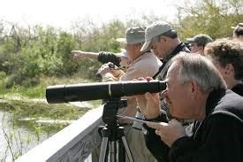 spotting scopes | follow us | backyard birdwatching and beyond