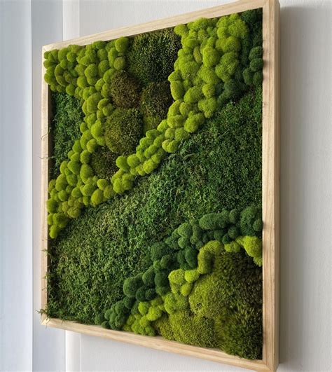 Moss wall art in 2021 | Moss wall art, Green wall art, Moss wall