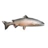 Salmon - Shroud of the Avatar Wiki - SotA