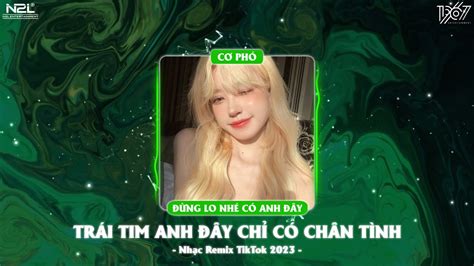 Trái Tim Anh Đây Chỉ Có Chân Tình - Đừng Lo Nhé Có Anh Đây Remix - Nhạc ...