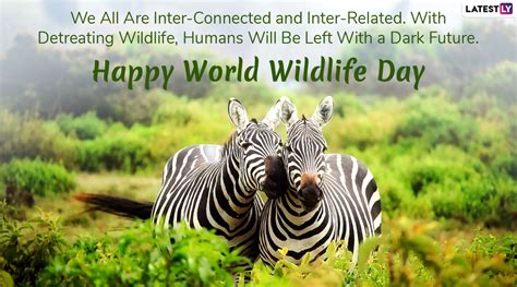 Happy World Wildlife Day 2020 Wishes: WhatsApp Stickers, GIF Images, Greetings and SMS to Give ...