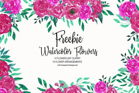 Watercolor Flower Clipart Collection - Free Download