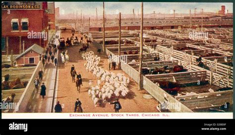 Chicago stockyards hi-res stock photography and images - Alamy