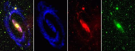 Revealing Circinus’ hidden beauty | Universe @ CSIRO