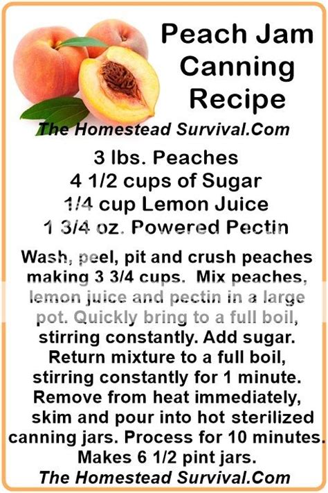 Peach Jam Canning Recipe | The Homestead Survival