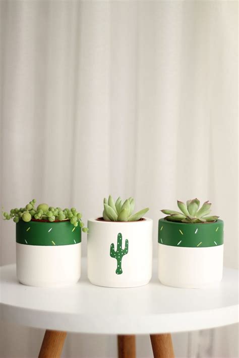 Colorful Cactus Pots Small Pots Plant Gift Concrete - Etsy