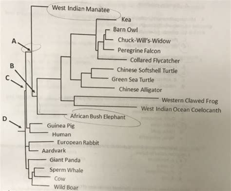 Microbiology Exam 2 Flashcards | Quizlet