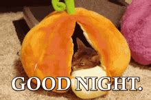 Pumpkin Night Anime GIF - Pumpkin Night Anime - Discover & Share GIFs
