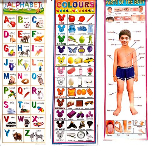 K&M Kids Vinyl Pre School Learning Wall Hanging Charts-Pack of 10 ...