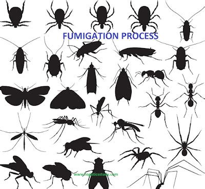 FUMIGATION PROCESS