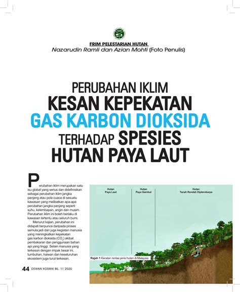 (PDF) Perubahan Iklim Kesan Kepekatan Gas Karbon Dioksida Terhadap Spesies Hutan Paya Laut