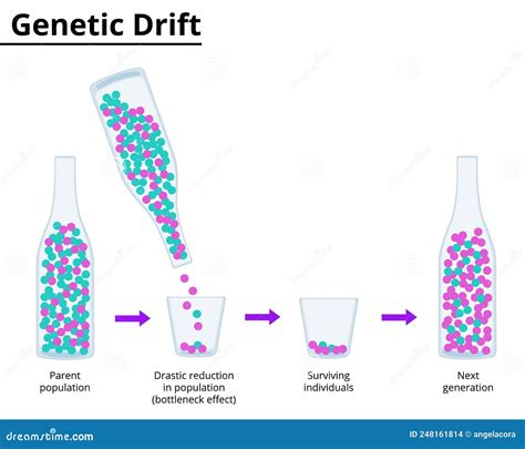 Heritability Cartoons, Illustrations & Vector Stock Images - 18 Pictures to download from ...