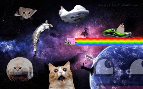 A 1920x1080 wallpaper I made for the lovers of cats and cat memes ...