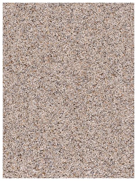 Parade Residential Carpet Color: Ivory Tower - Dreamweaver by ...