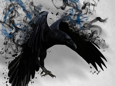 A Murder of Crows by Oliver Craddock on Dribbble