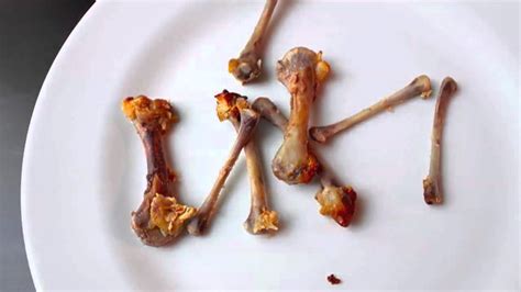 2012 Chicken Wing Bone Super Bowl Prediction! - YouTube