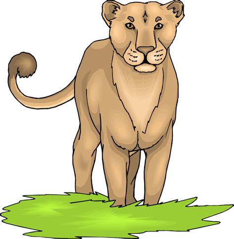 Lion females clipart - Clipground