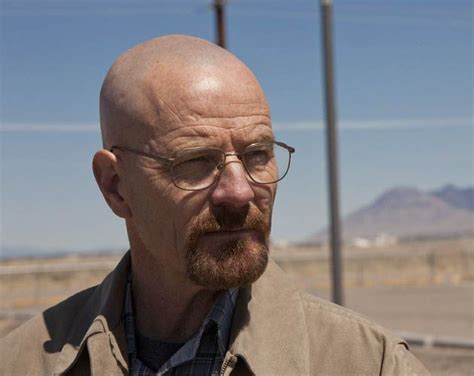 Pin de Cosmin Istudor en Portret 1 | Breaking bad, Fotos de perfil, Bryan cranston