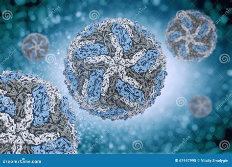 Dengue Virus Digital Image Structure. Stock Illustration - Illustration ...