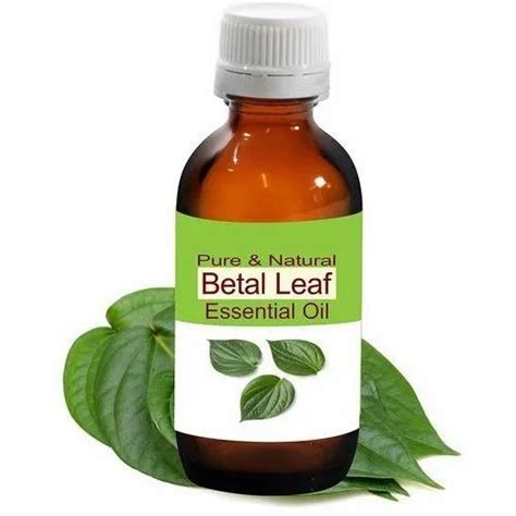 Betel Leaf Essential Oil at Rs 35000/kilogram | Kannauj | ID: 22273358030