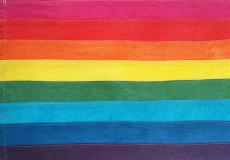 gayelectro:“ profeminist:“ edgarscatalog:“ The original flag, by ...