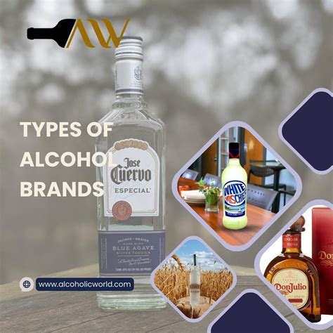 All You Need to Know About All Types of Alcohol Brands and Their Unique ...