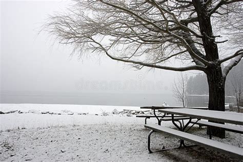 Empty Snow Covered Park in Winter. Stock Photo - Image of picnic, beautiful: 7647368