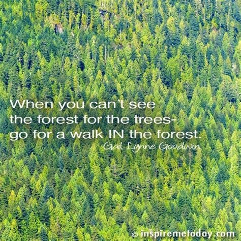 When you can't see the forest for the trees- go for a walk IN the forest. | Inspire Me Today®