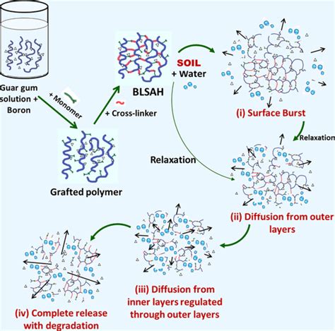 Guar gum based hydrogel as controlled micronutrient delivery system: Mechanism and kinetics of ...