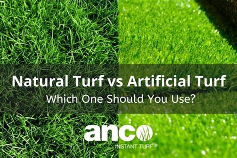 Natural Turf vs Artificial Turf - Which One Should You Use?